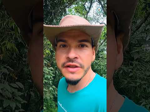 Entre trilhas curtas e a força da água, um refúgio escondido no interior do Rio Grande do Sul.