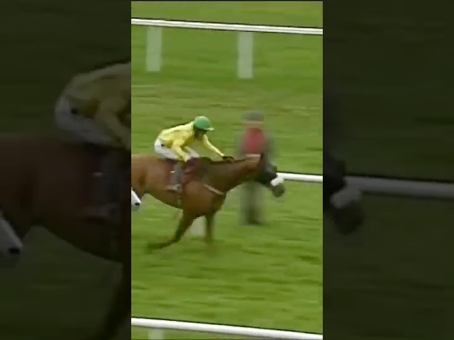 Thumbnail for Post ID: Iw44etKXc-Y