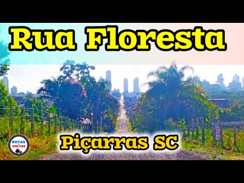 Dica importante para você 