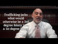 177 What S The Difference Between Drug Possession Trafficking In FL Haber Criminal Defense