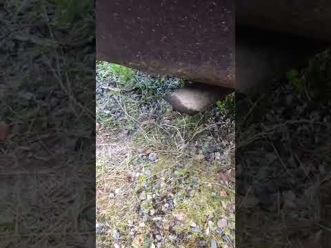 Thumbnail for chevy astro 1995 exhaust sound by Van
