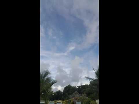 Bananas and Blow -- ween @ Lockn