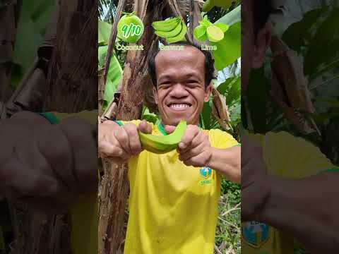 Tropical fruit on tree  #fruit  #tropicalfood #mukbang