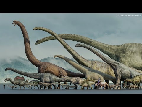 Dinosaurs Size Comparison 3D 2024 | 3d Animation Size comparison