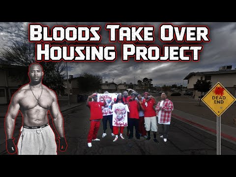 Las Vegas' Most Dangerous Projects