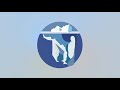 Wikipedia Logo Animation After Effects