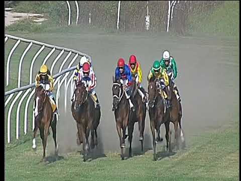 Galoppo 30/08/2017 - 1ª corsa