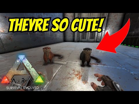 ARK: Survival Evolved! Unofficial PVP! EP. 05 Taming a Dire Bear and OTTERS!