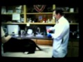 MVI 1052 AVI