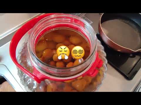 Making Homemade Umeshu: The Perfect Japanese Plum Wine Recipe! / 自家製梅酒の作り方：最高の日本の梅酒レシピ! 🇯🇵🍶
