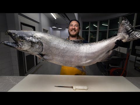 The World's Most Expensive Salmon