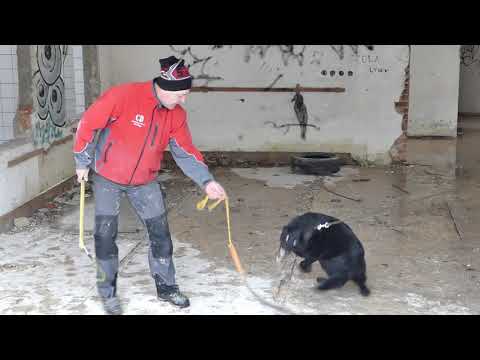 Viktor Grey Archibald 5 měsíců