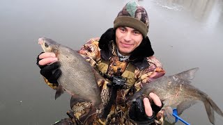 Зимняя рыбалка на леща в подмосковье
