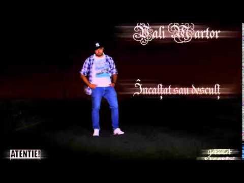 Vali Martor - Imagini gri cenusii