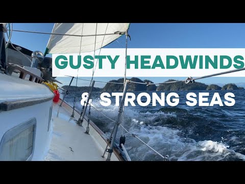 Tacking to Port Hardy & Sharing The Sailing Experience | Vancouver Island Circumnavigation | Ep15