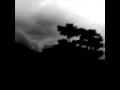 Nikorasu Muri