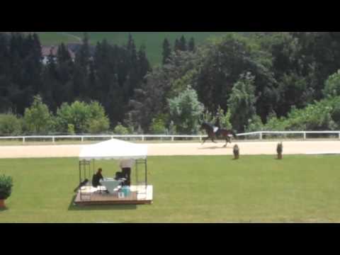 ÖM 2011 Semriach - 16.07. Video c - www.isibless.de