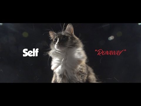 Video thumbnail for Runaway