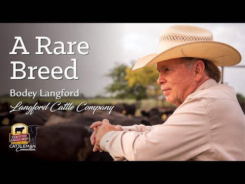 Bodey Langford - Langford Cattle Company, Texas -...