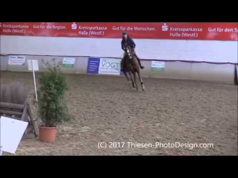 2017-01-15 Geländetraining bei Uwe Schömitz - Gruppe 5