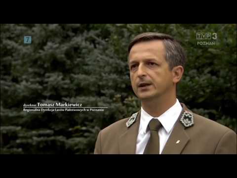 Puszcza Notecka TVP Poznań