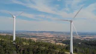 Extracto informativo 22-10-25  6 parques eólicos no logran la declaración de impacto ambiental