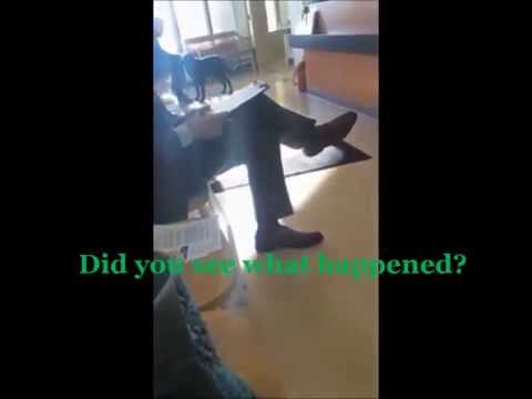 Stress Free Vet Visits - Part 1 (the Dreaded Wait in The Lobby)