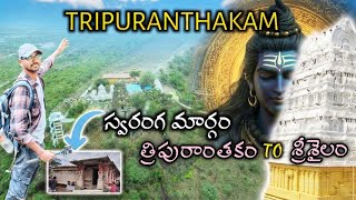 Temple video
