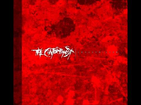 The Contortionist - Intro/Shapeshifter