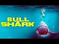 Deadly Waters Bull Shark Full Action Thriller Movie Free Movie