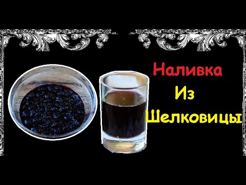 Наливка Из Шелковицы В Домашних Условиях / Книга Рецептов / Bon Appetit