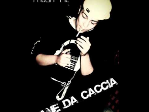 Paglia - Cane da caccia