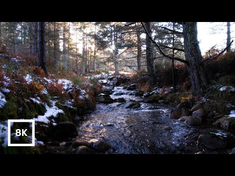 4K HDR Snowy Forest Stream | Winter River Ambience | Relaxing Water Sounds for Sleep & Study