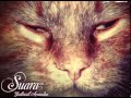 Gabriel Ananda - The Hunt (Original Mix)