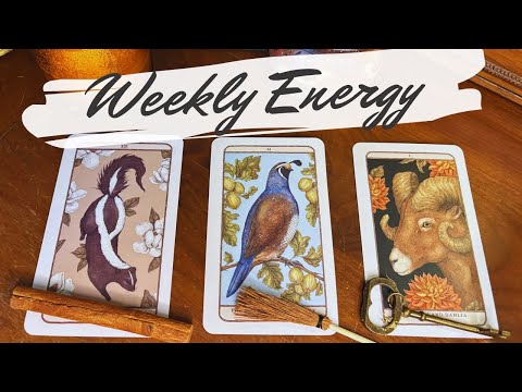 This week! Your Detailed Weekly Tarot Forecast 🔮 pick a card weekly 