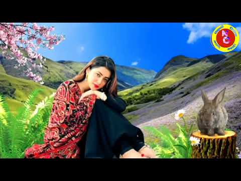 nepali lok dohori samjhi man Royo nepali follk song