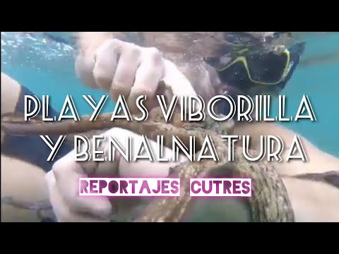 Playas VIBORILLA y BENALNATURA -  Reportajes Cutres