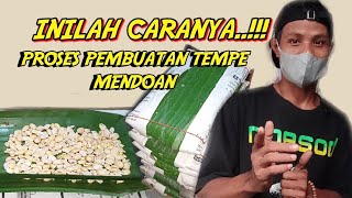 Download lagu proses pembuatan tempe mendoan || bahan jualan yang mudah dan praktis mp3 Download lagu proses pembuatan tempe mendoan || bahan jualan yang mudah dan praktis mp3