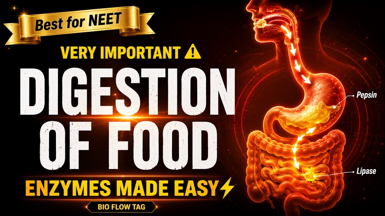 CBSE Class 11 Biology || Digestion of Food