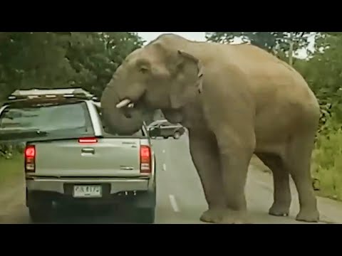 It Was So Damn Gentle | NEAR DEATH EXPERIENCES CAUGHT ON CAMERA | GOPRO