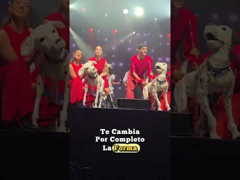 101 Dálmatas, The Show