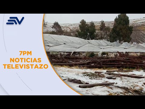 Granizada en Cangahua, Cayambe, deja cultivos e invernaderos afectados | Televistazo | Ecuavisa