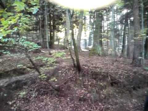 puch racing mit vollgas im wald; 50 ccm; puch mit 4-gang motor