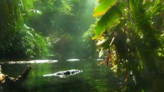 Forever - Nicholas Gunn