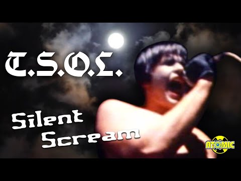 Thumbnail for TSOL - Silent Scream (Music Video) by T.S.O.L.