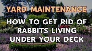 How to Get Rid of Rabbits Living Under Your Deck