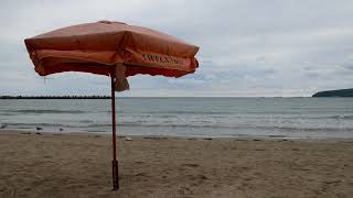 4K 1 Hour Sea Sounds: cloudy melancholic beach with birds as evening slowly comes