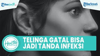 Hati-hati! Telinga Gatal Bisa Jadi Tanda Infeksi dalam Indera Pendengar hingga Penyakit Kronis