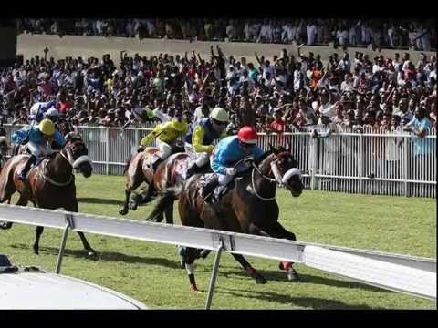 Horse racing mauritius compilation