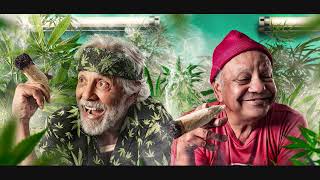 DR. HOOK * I Got Stoned and I Missed it *   HQ